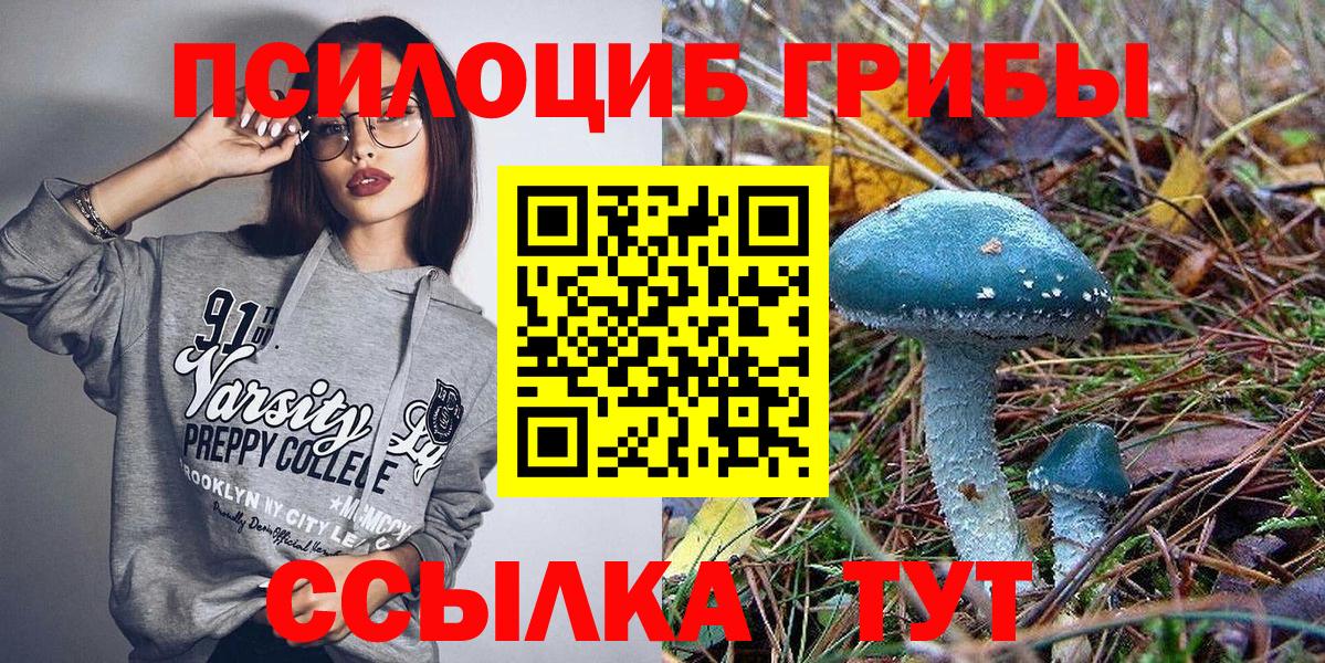 купить   Псилоцибиновые грибы Psilocybine cubensis  Вход с VPN  Кирово-Чепецк 