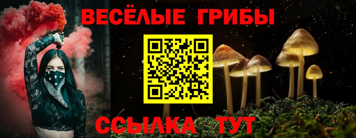 Галлюциногенные грибы мухоморы Кирово-Чепецк